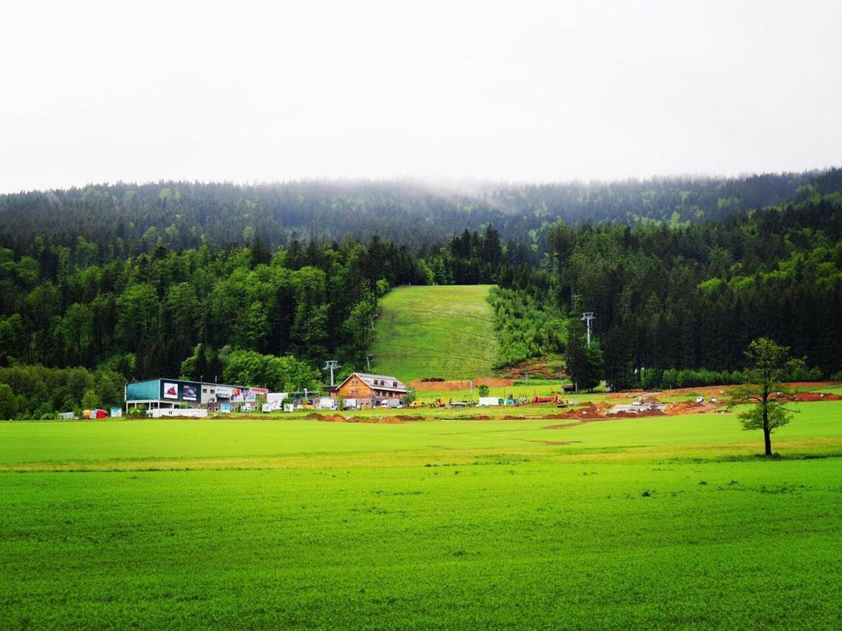 Apartmán Apartmán na Bukovce MEROT Červená Voda Exteriér fotografie